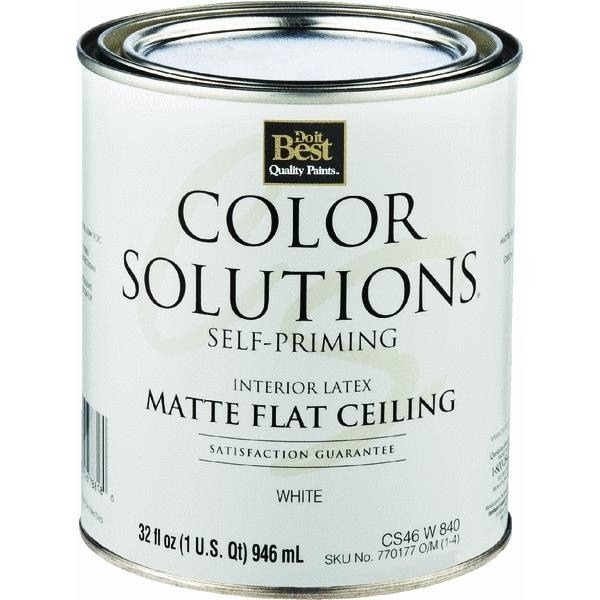 SherwinWilliams Color Solutions SelfPriming Latex Interior Ceiling Paint CS46W084044 Zoro